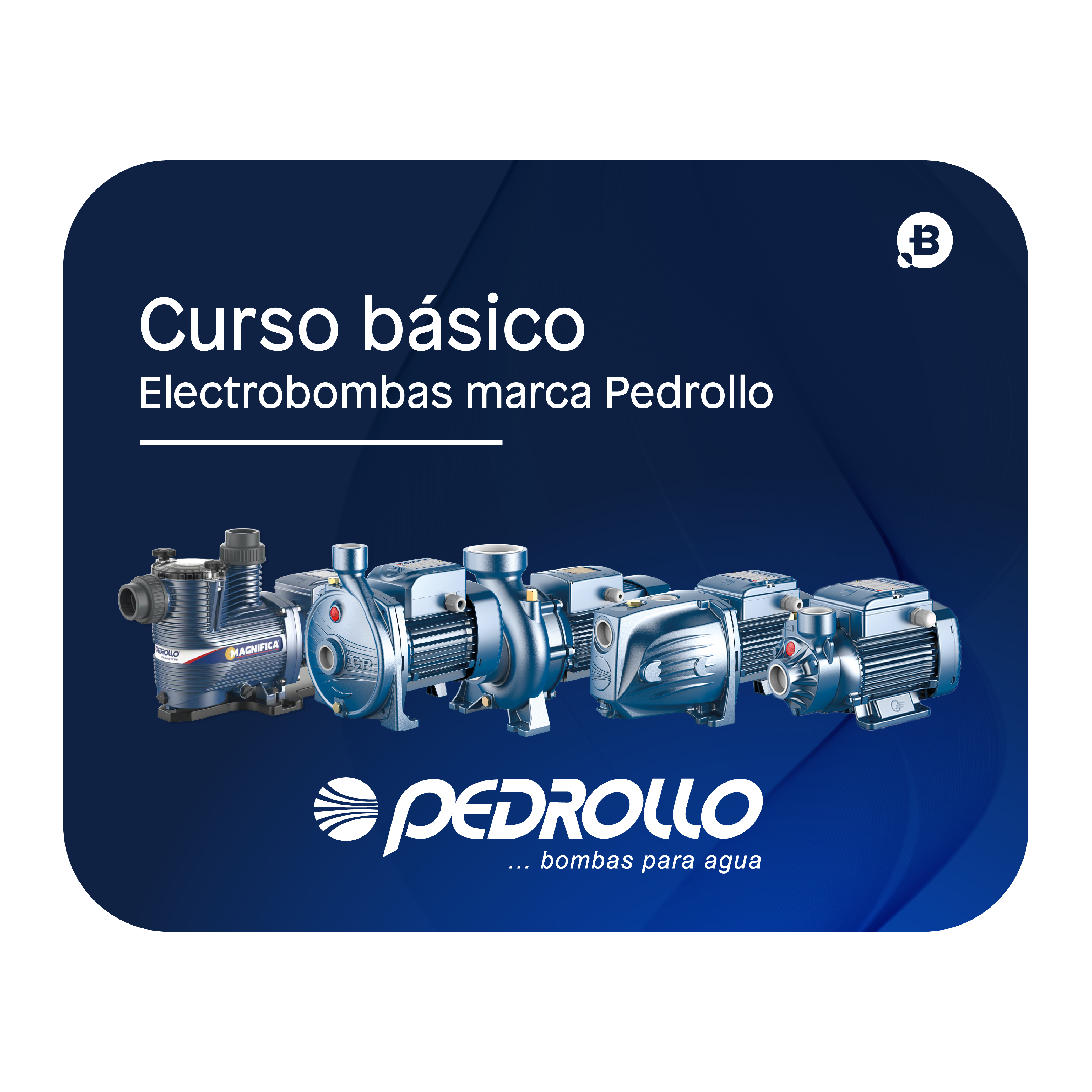Curso Pedrollo